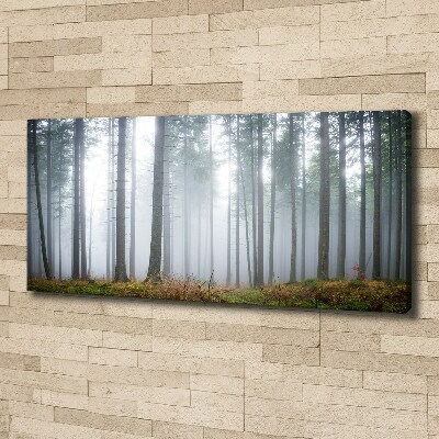 Schilderij op canvas Mist in het bos