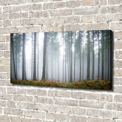 Schilderij op canvas Mist in het bos