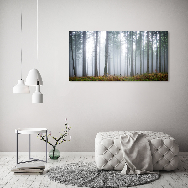 Schilderij op canvas Mist in het bos