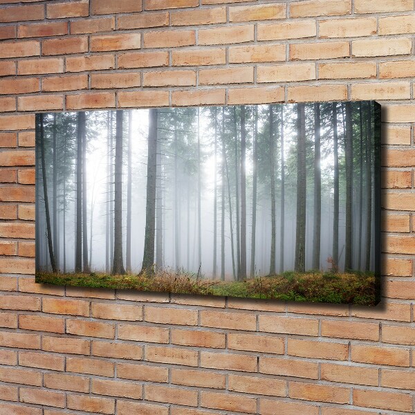 Schilderij op canvas Mist in het bos