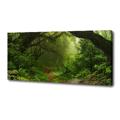 Canvas foto Oerwoud in Nepal