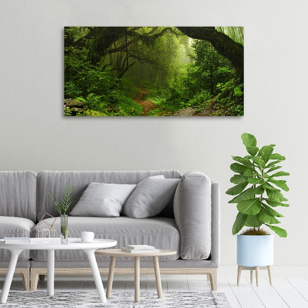 Canvas foto Oerwoud in Nepal