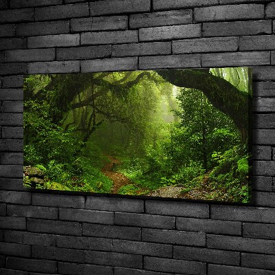 Canvas foto Oerwoud in Nepal
