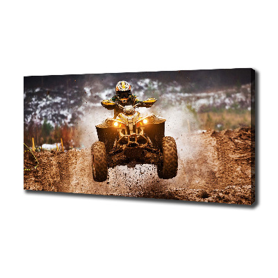 Schilderij op canvas Quad