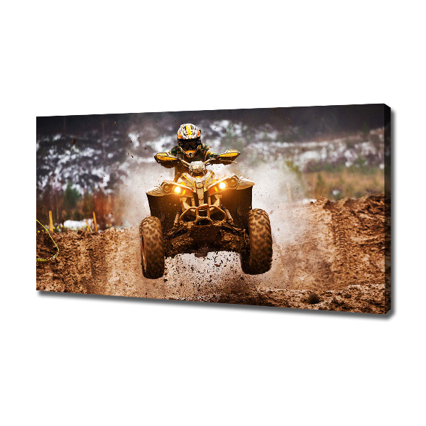 Schilderij op canvas Quad