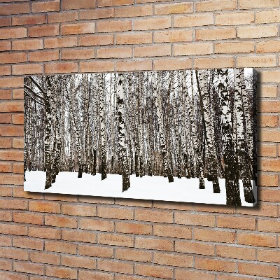 Canvas schilderij Berken in de winter