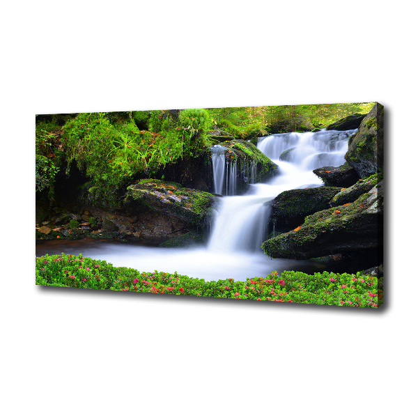 Foto canvas Waterval in het bos