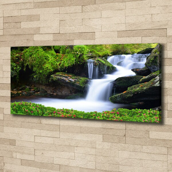 Foto canvas Waterval in het bos