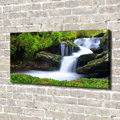 Foto canvas Waterval in het bos