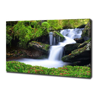 Foto canvas Waterval in het bos