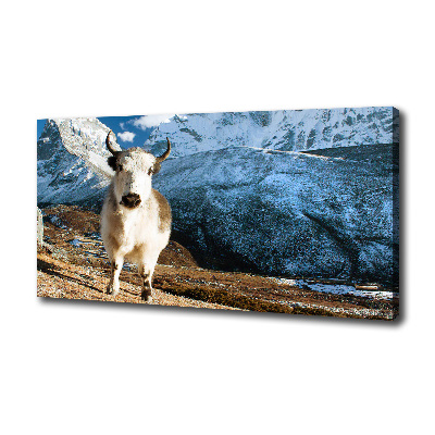 Canvas foto Zoals bergen