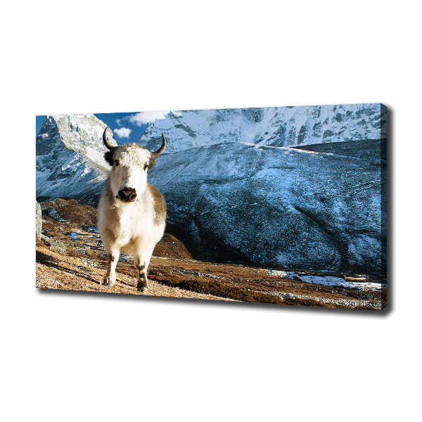 Canvas foto Zoals bergen