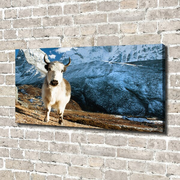 Canvas foto Zoals bergen