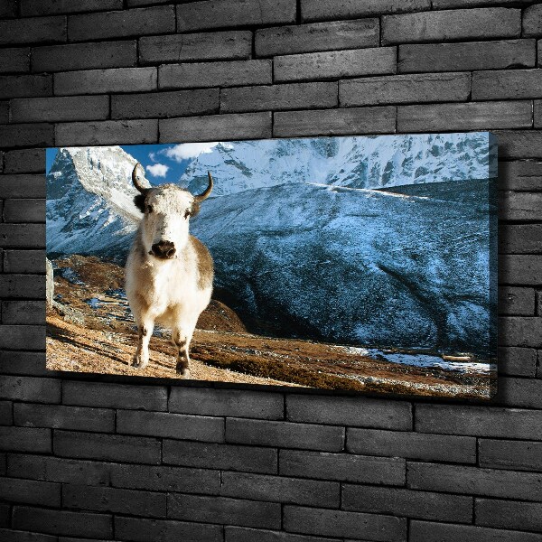 Canvas foto Zoals bergen