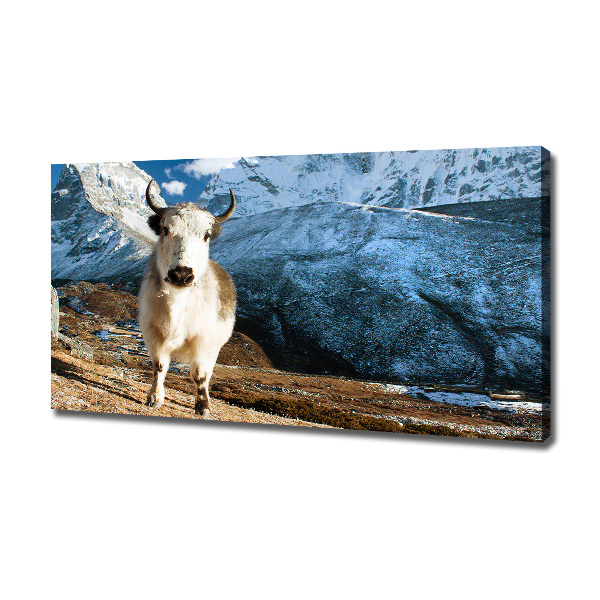 Canvas foto Zoals bergen