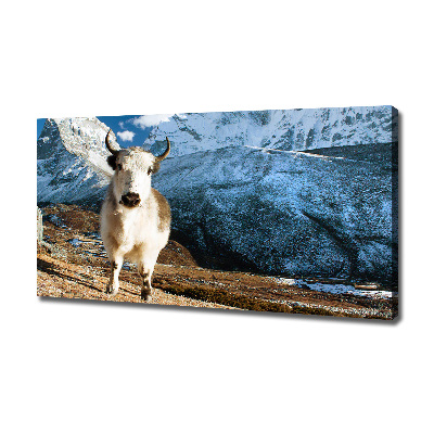 Canvas foto Zoals bergen