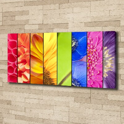 Canvas schilderij Kleurrijke bloemen
