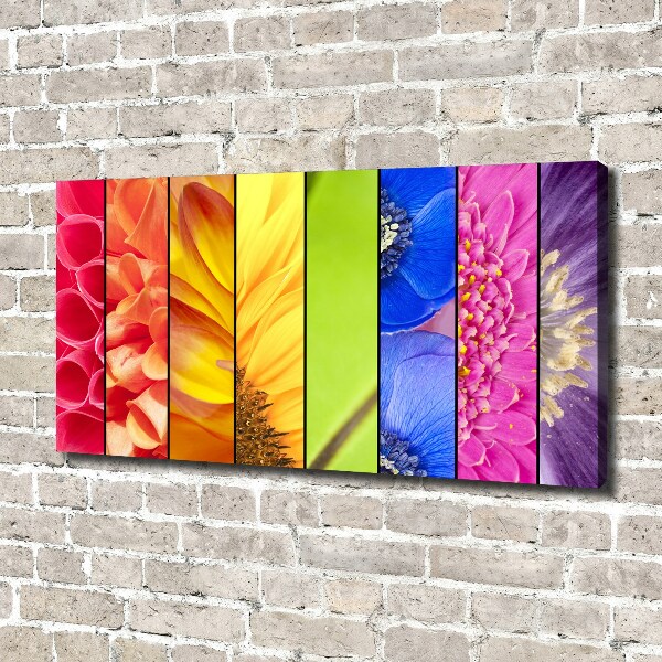 Canvas schilderij Kleurrijke bloemen