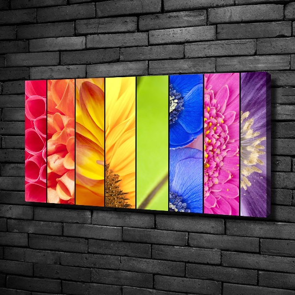 Canvas schilderij Kleurrijke bloemen