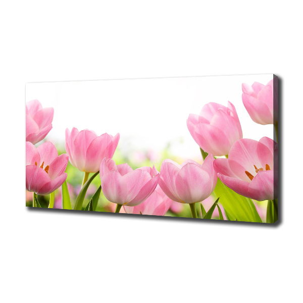 Schilderij op canvas Roze tulpen