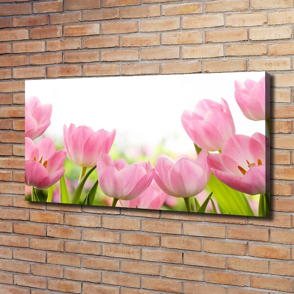 Schilderij op canvas Roze tulpen