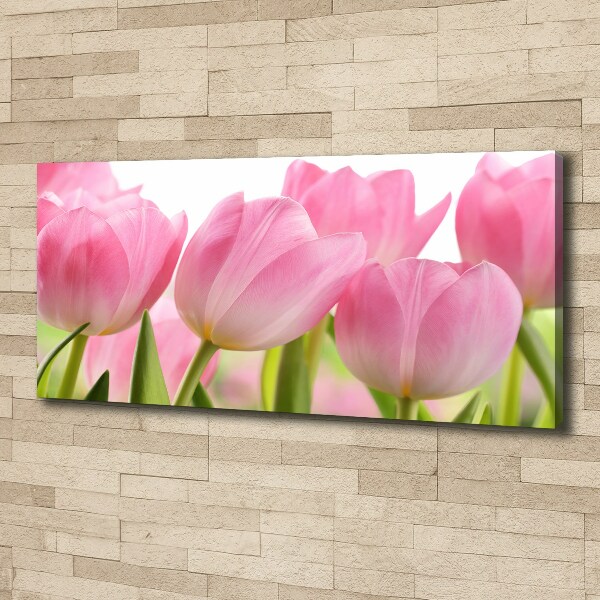 Foto canvas Roze tulpen