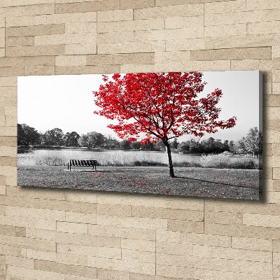 Canvas foto Rode boom