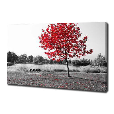 Canvas foto Rode boom
