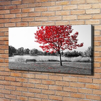 Canvas foto Rode boom