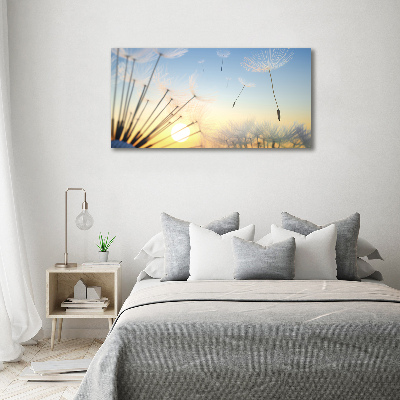 Foto canvas Paardenbloemzaden