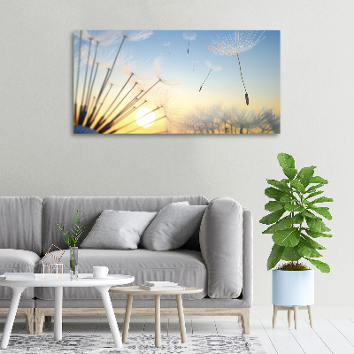 Foto canvas Paardenbloemzaden