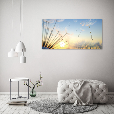 Foto canvas Paardenbloemzaden