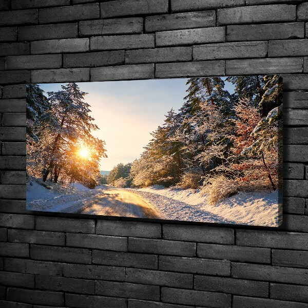 Foto canvas Een weg in het bos in de winter.