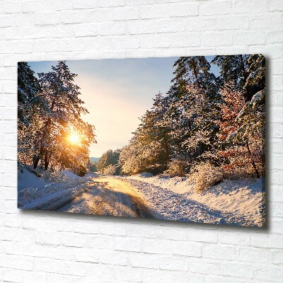Foto canvas Een weg in het bos in de winter.