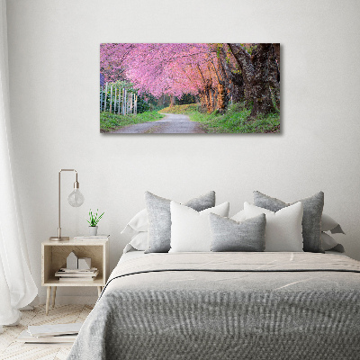 Canvas foto Kersenbloesems