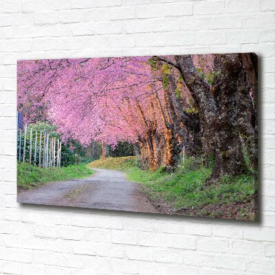 Canvas foto Kersenbloesems