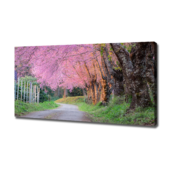 Canvas foto Kersenbloesems