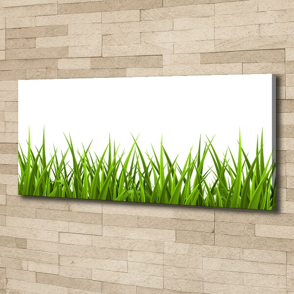 Canvas foto Gras