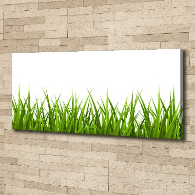 Canvas foto Gras