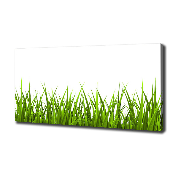 Canvas foto Gras