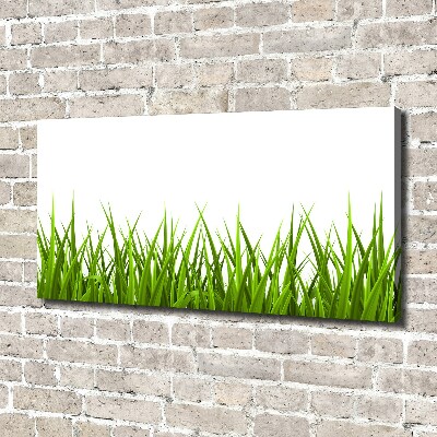 Canvas foto Gras