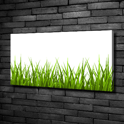 Canvas foto Gras