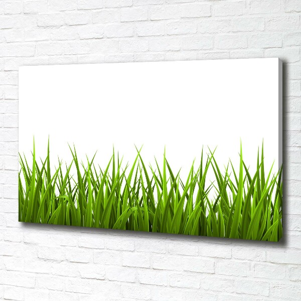 Canvas foto Gras