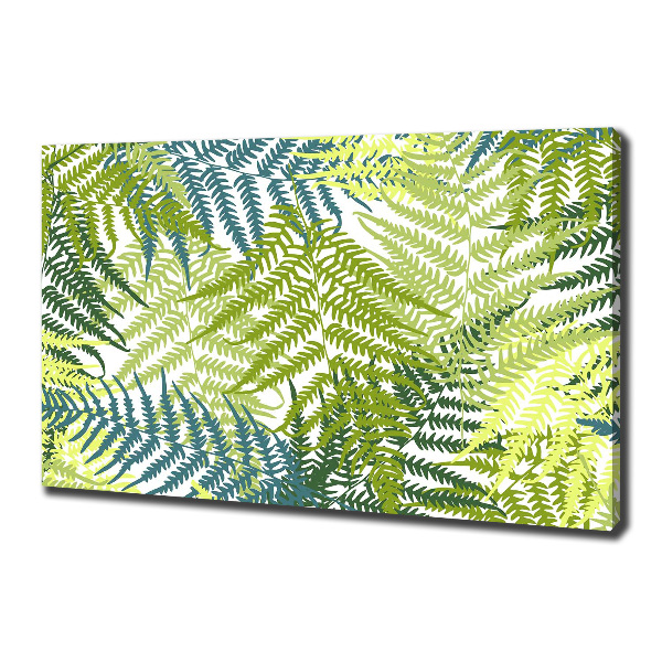 Schilderij op canvas Varenpatroon