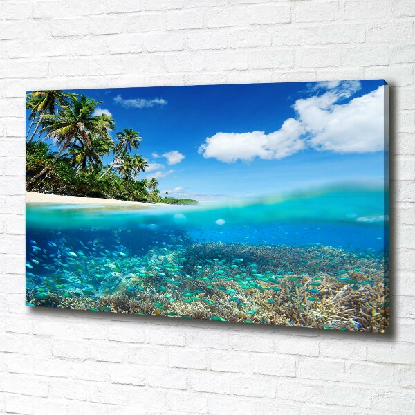 Canvas schilderij Koraalrif