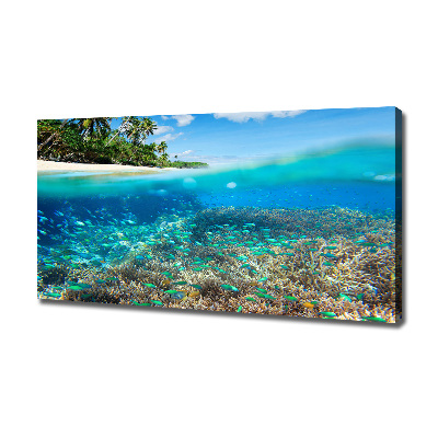 Canvas schilderij Koraalrif