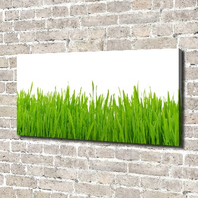 Schilderij op canvas Gras