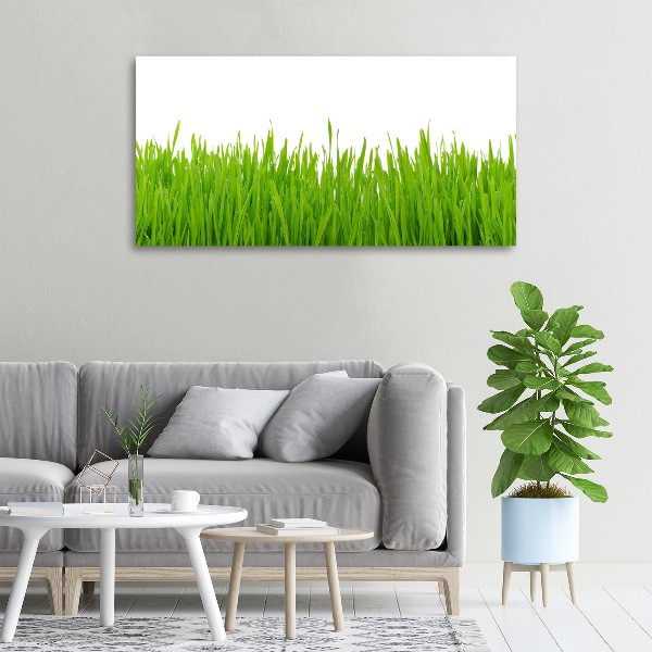 Schilderij op canvas Gras