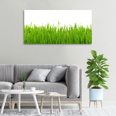 Schilderij op canvas Gras