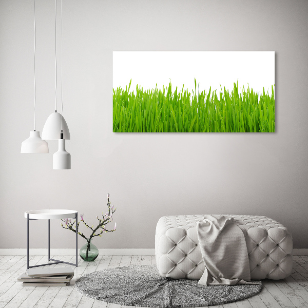 Schilderij op canvas Gras